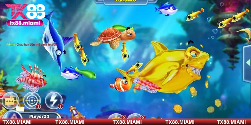 Chinh phục mọi cấp độ chơi game