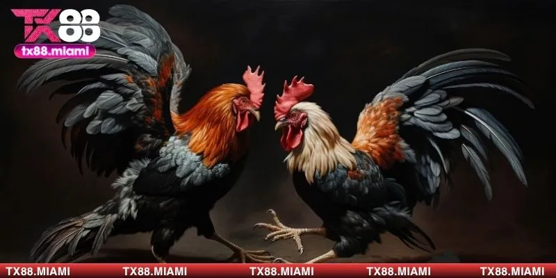 Mẹo xuống tiền hiệu quả anh em có thể áp dụng tại TX88